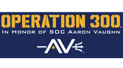 Operation 300