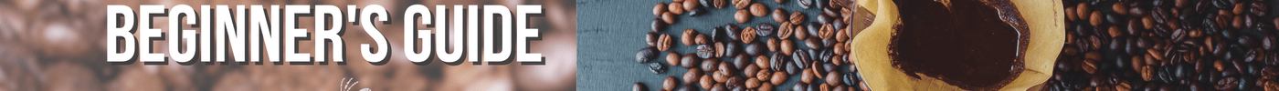 Coffee 101: A Beginner's Guide to Brewing the Perfect Cup