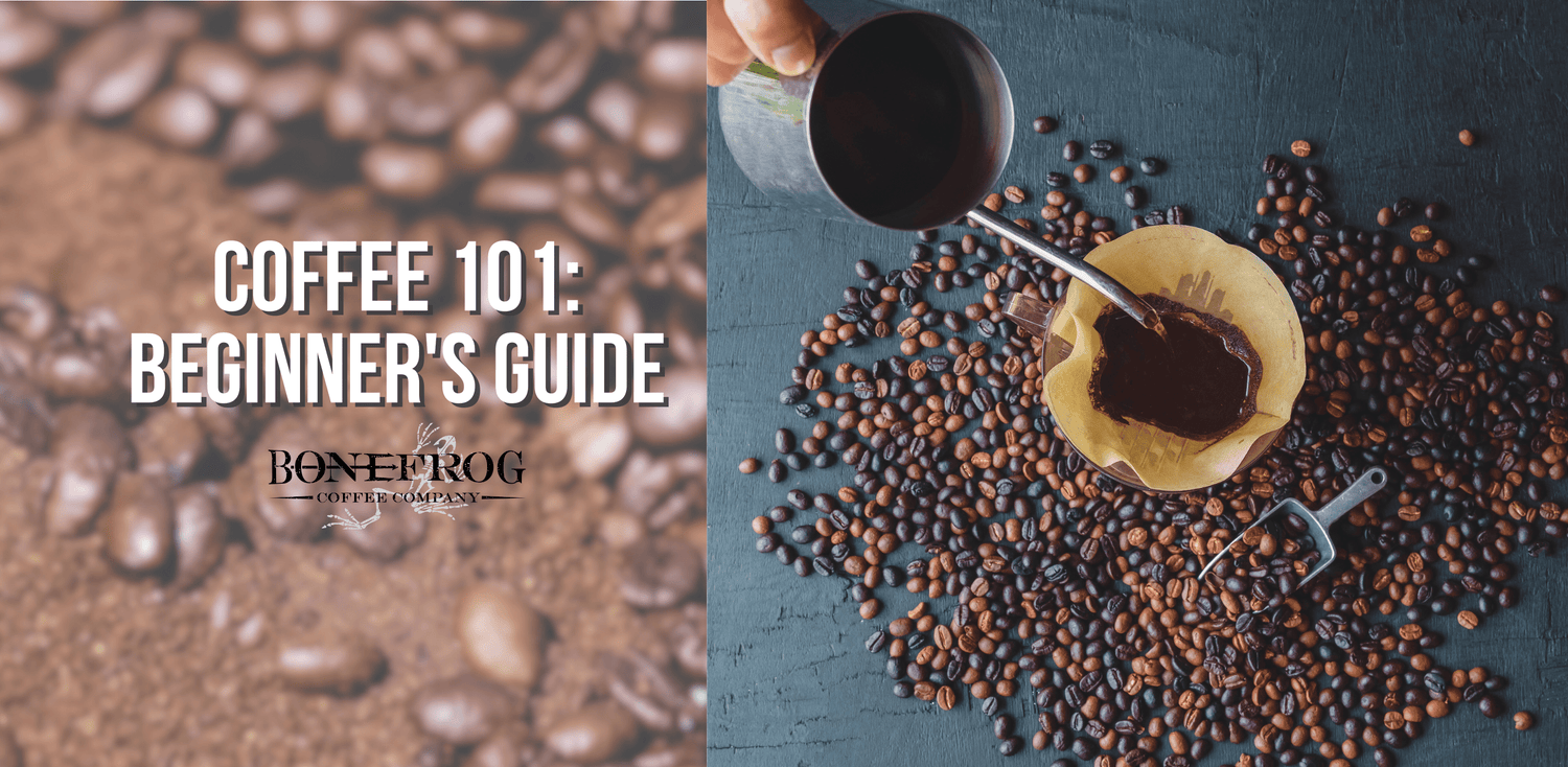 Blog - Coffee 101: A Beginner's Guide to Brewing the ...