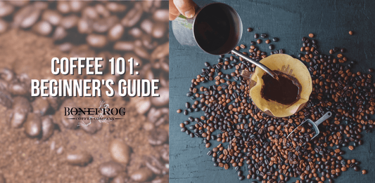 Coffee 101: A Beginner's Guide to Brewing the Perfect Cup