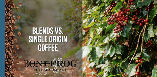 A farm with organically grown coffee plants and a roasted coffee on the side with Text: Blends vs. Single Origin