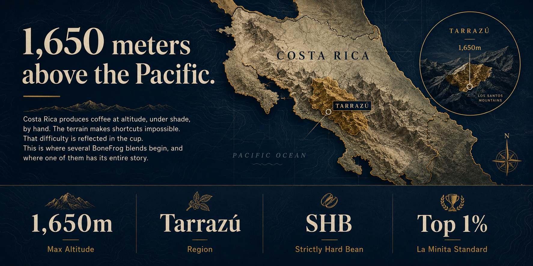 Arabica vs. Robusta: What's Actually in Your Cup and Why It Matters
