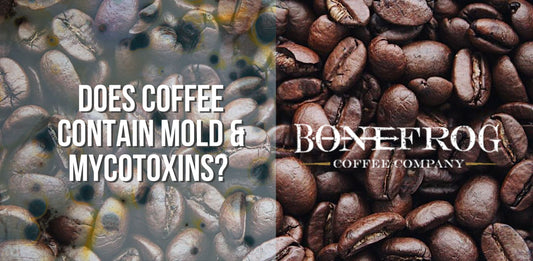 Coffee with mold and coffee without mold