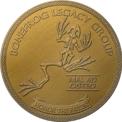 Collection image for: Challenge coin