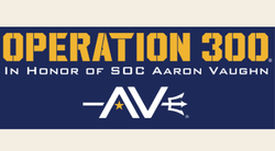 Operation 300